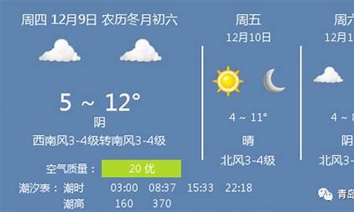 青岛天气预报小时预报_青岛天气预报小时预报15天