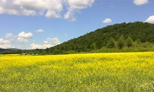 阿荣旗天气预报30天查询_阿荣旗天气预报30天查询最新